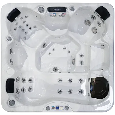 Avalon EC-849L hot tubs for sale in Waldorf