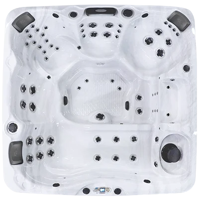 Avalon EC-867L hot tubs for sale in Waldorf