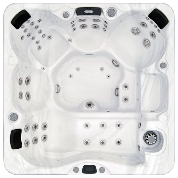 Avalon-X EC-867LX hot tubs for sale in Waldorf